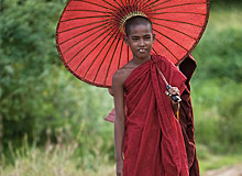 Novice monk with umbrella